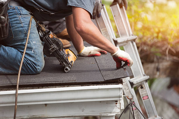 Best Roof Gutter Cleaning  in Adamsville, TN