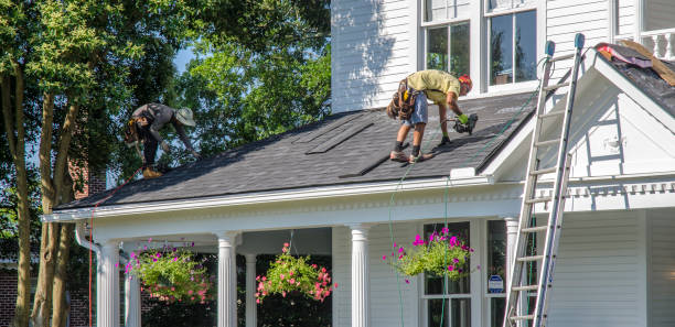 Best Storm Damage Roof Repair  in Adamsville, TN